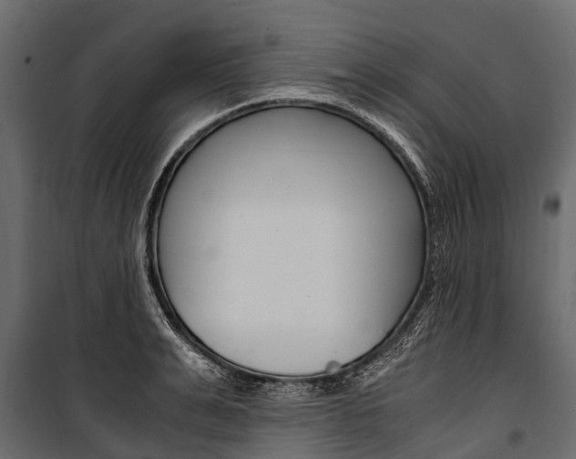 X0000100940991200806241158