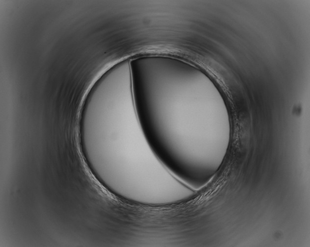 X0000100940992200806241158