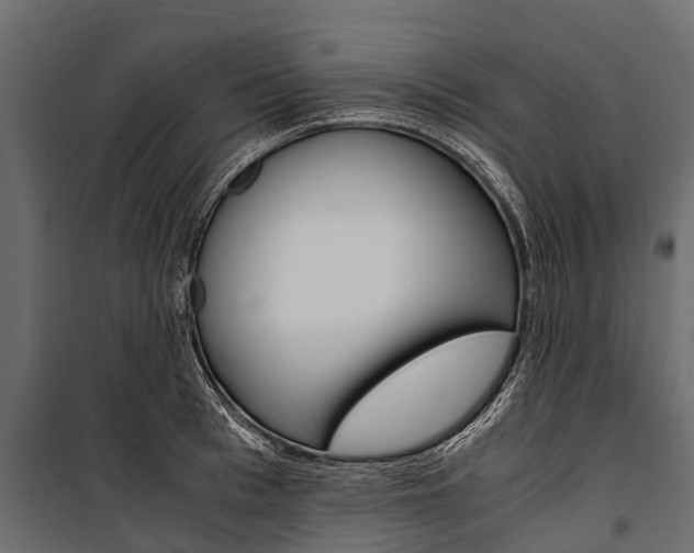 X0000100940993200806241158
