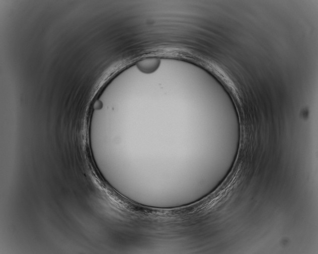 X0000100940994200806241158