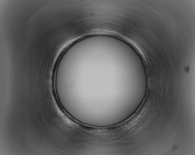 X0000100940995200806241158