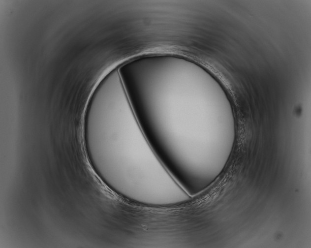 X0000100940996200806241158