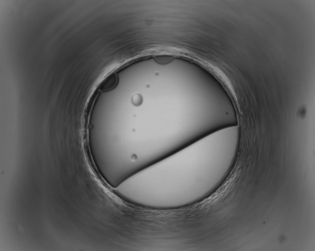 X0000100940997200806241158