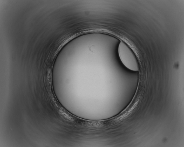 X0000100941001200806241158