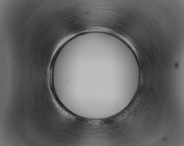 X0000100941003200806241158
