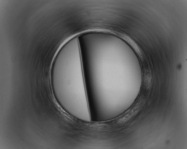 X0000100941004200806241158