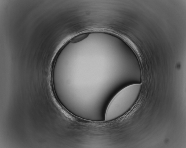 X0000100941005200806241158