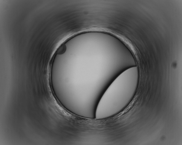 X0000100941006200806241158