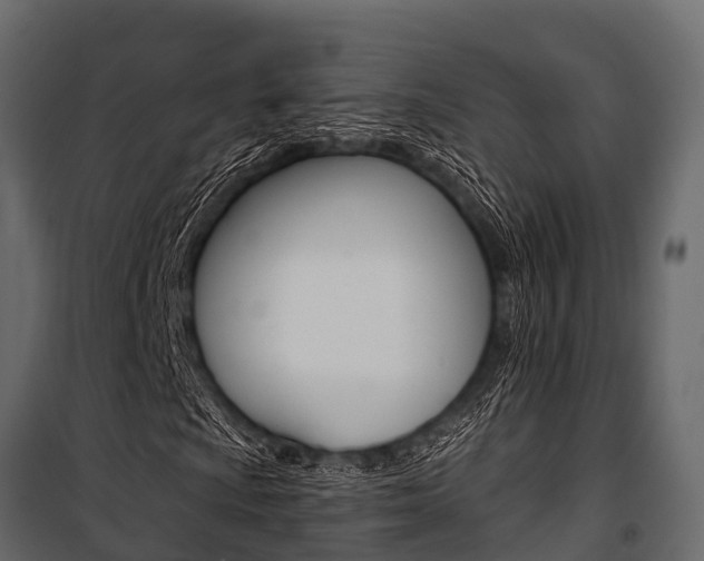 X0000100941009200806241157