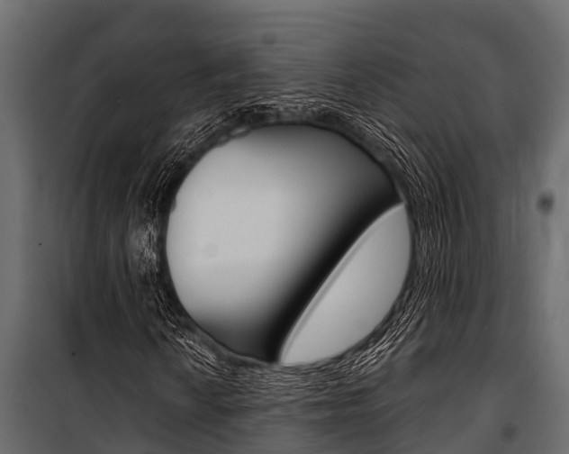 X0000100941010200806241157