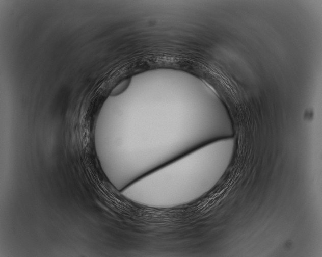 X0000100941011200806241157