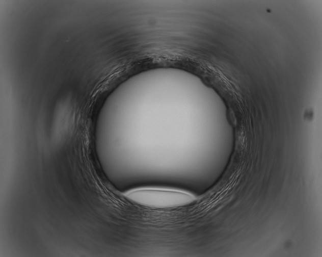 X0000100941012200806241157