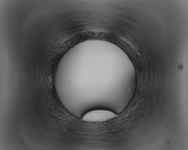 X0000100941013200806241157