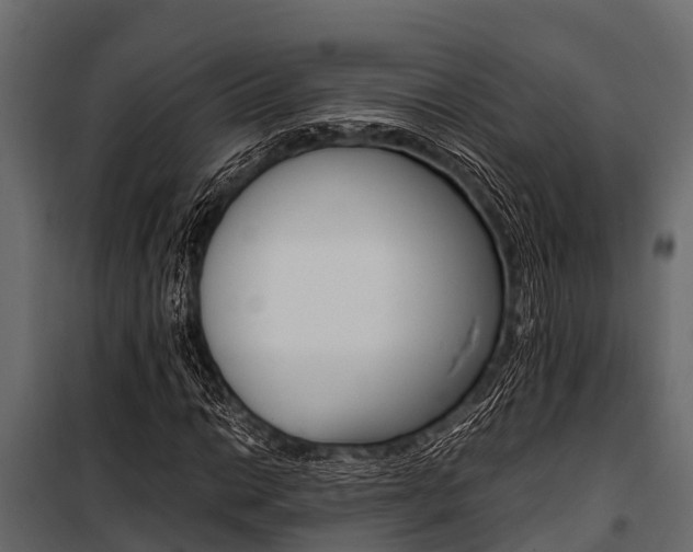 X0000100941014200806241157