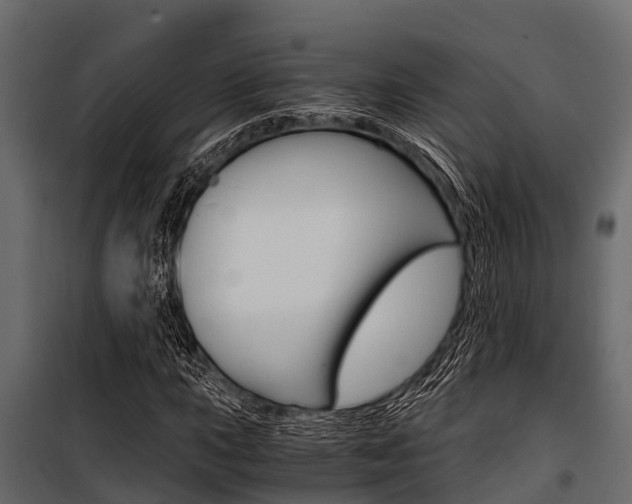 X0000100941015200806241157