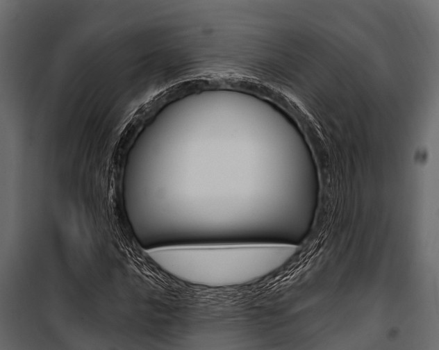 X0000100941016200806241157