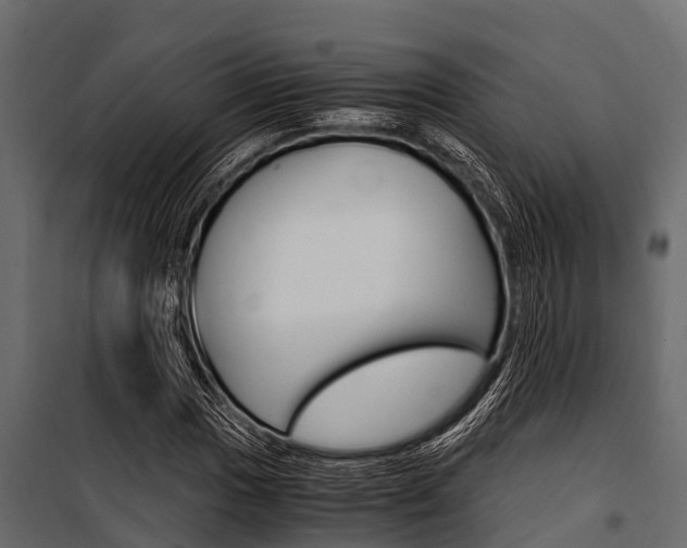 X0000100941017200806241157