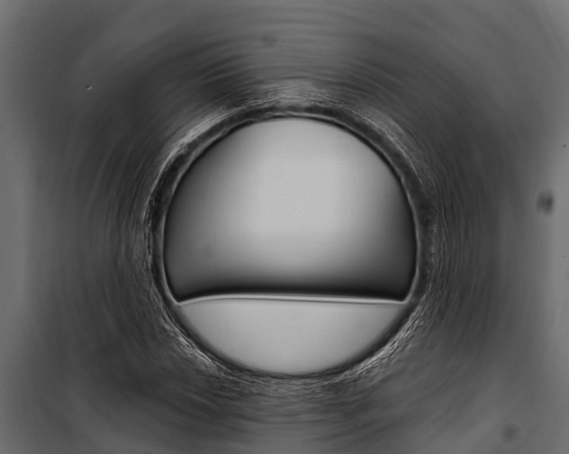 X0000100941018200806241157