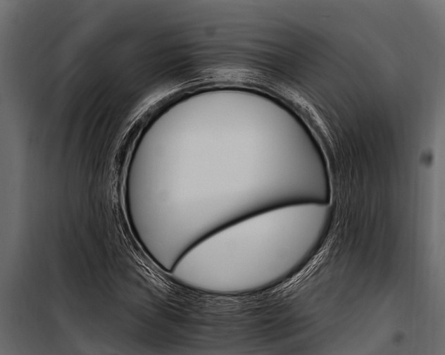 X0000100941019200806241157