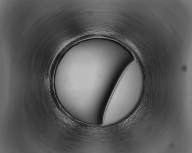 X0000100941020200806241157