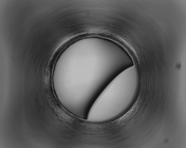 X0000100941021200806241157