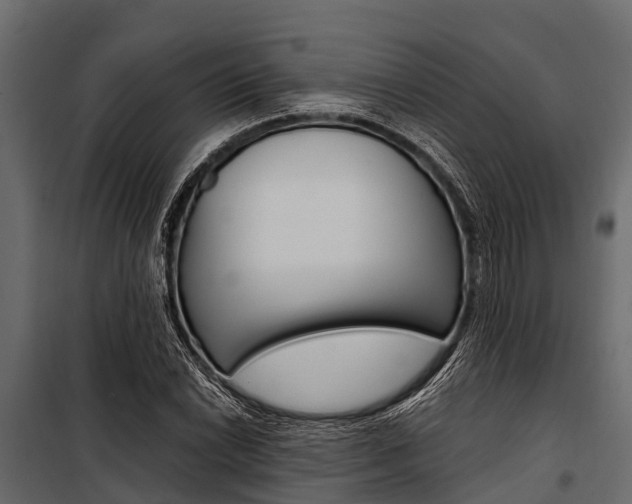 X0000100941022200806241157