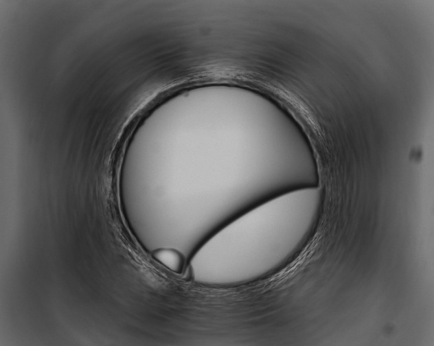 X0000100941023200806241157