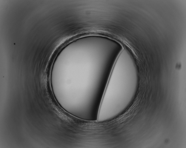 X0000100941024200806241157