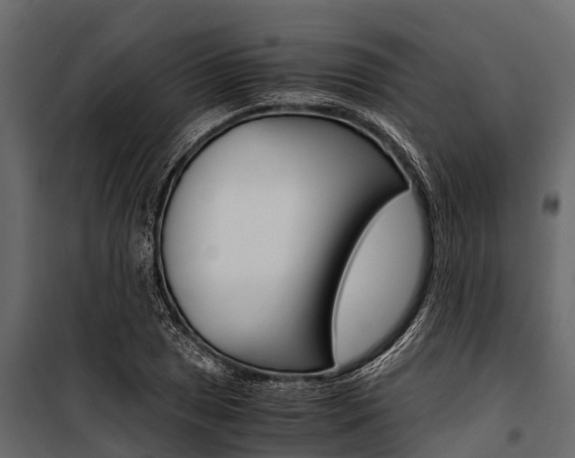 X0000100941025200806241157