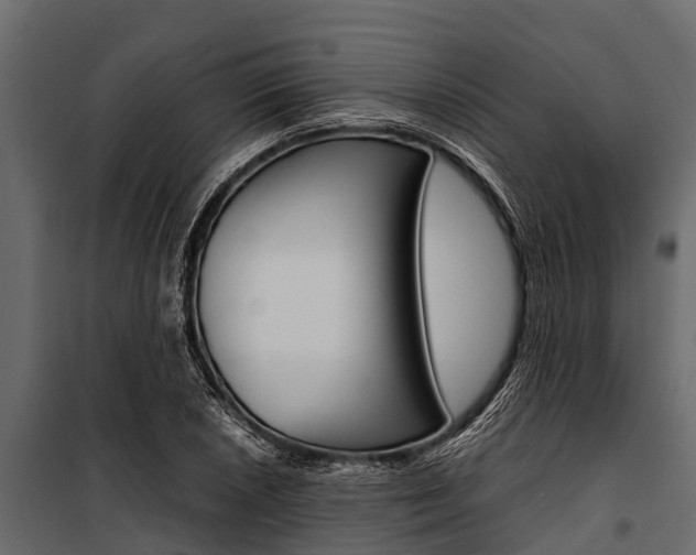 X0000100941026200806241157