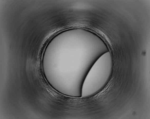 X0000100941027200806241157