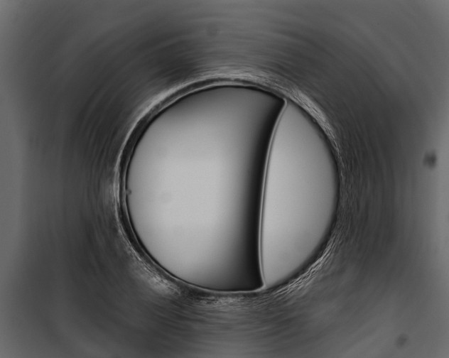 X0000100941028200806241157