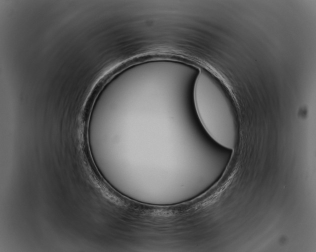 X0000100941029200806241157