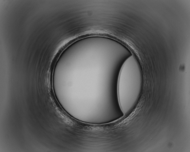 X0000100941030200806241157