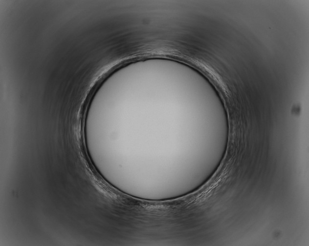 X0000100941031200806241157