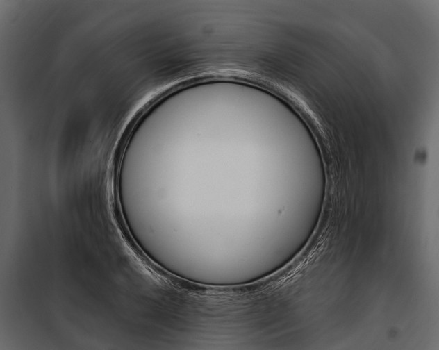 X0000100941032200806241157