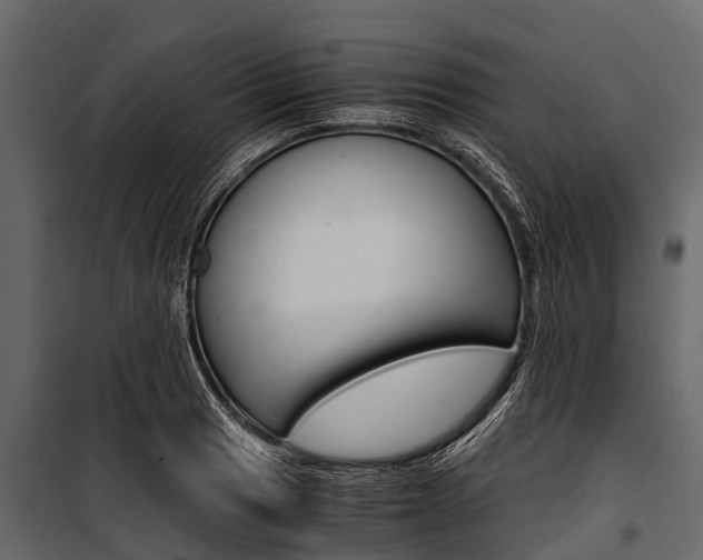X0000100941033200806241157