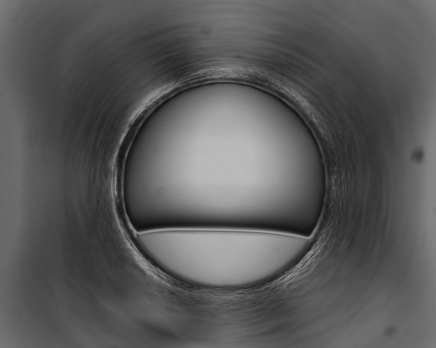 X0000100941034200806241157