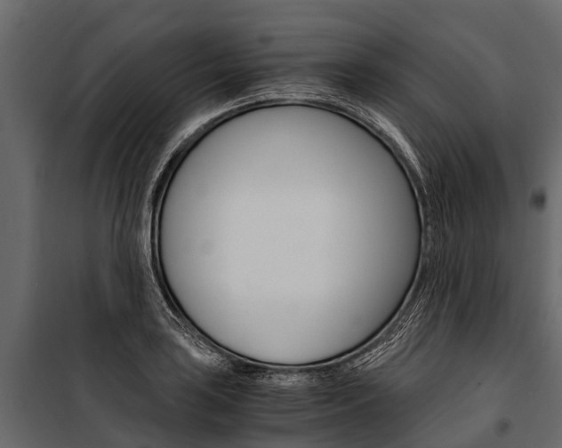 X0000100941035200806241157