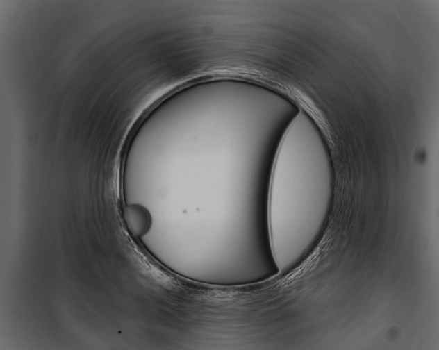 X0000100941036200806241157