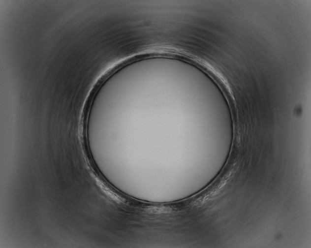 X0000100941037200806241157