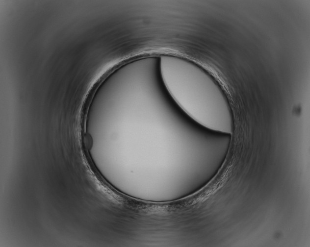 X0000100941038200806241157