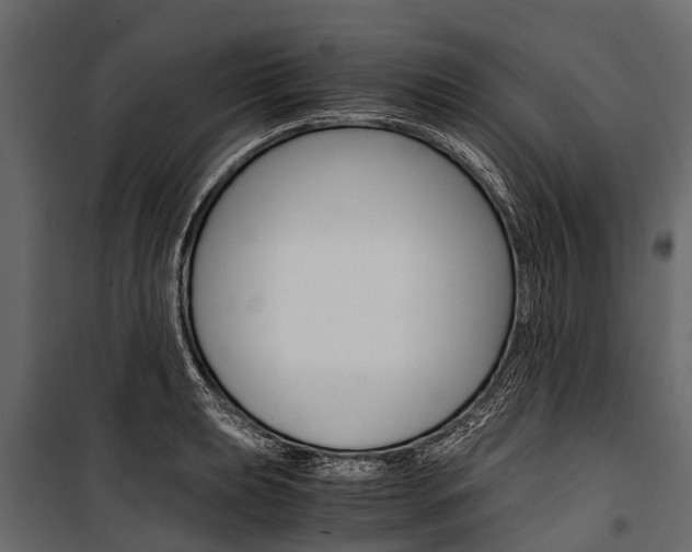X0000100941039200806241157