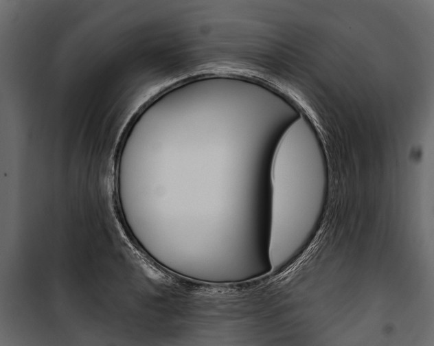 X0000100941040200806241157