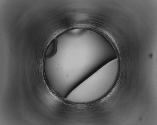 X0000100941041200806241157