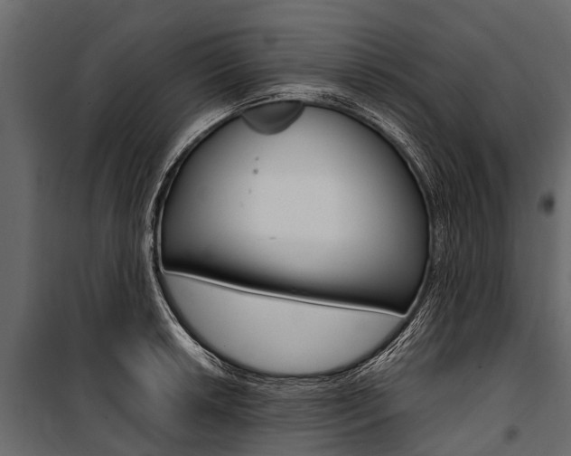 X0000100941042200806241157