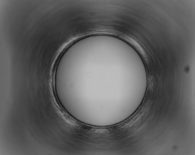 X0000100941043200806241157