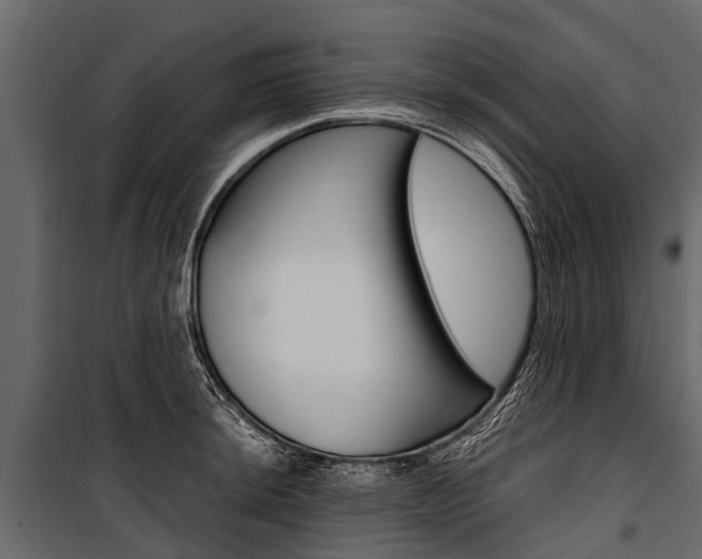 X0000100941044200806241157