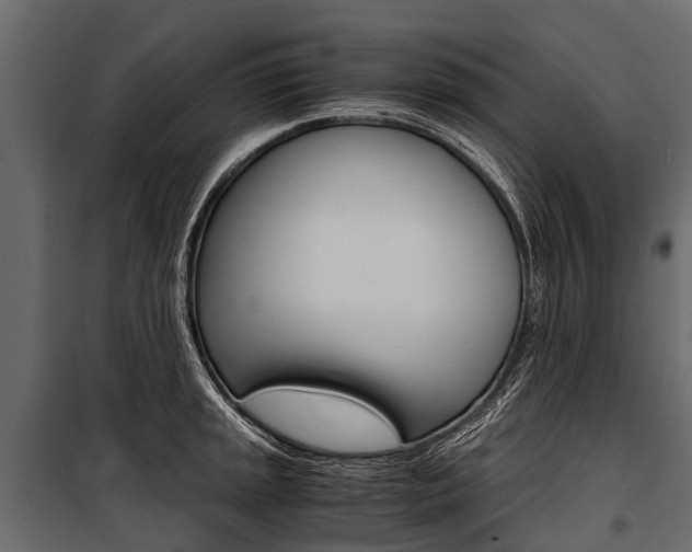 X0000100941045200806241157