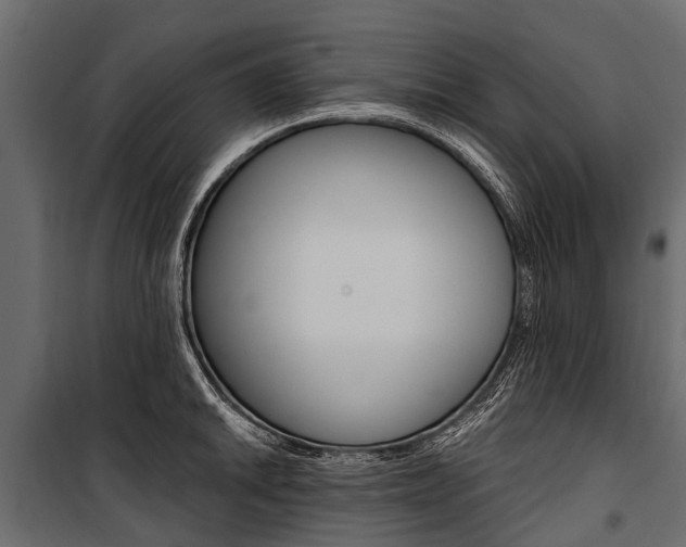 X0000100941046200806241157
